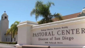 What Do You Need to Know About the Diocese of San Diego’s ICP and Claims Packet