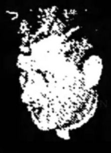 Father William C. O’Connell