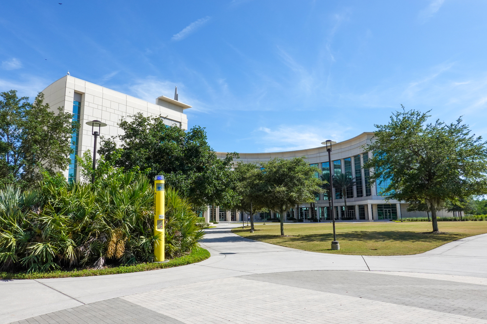 What are the rights of the victim of sexual assault in Florida