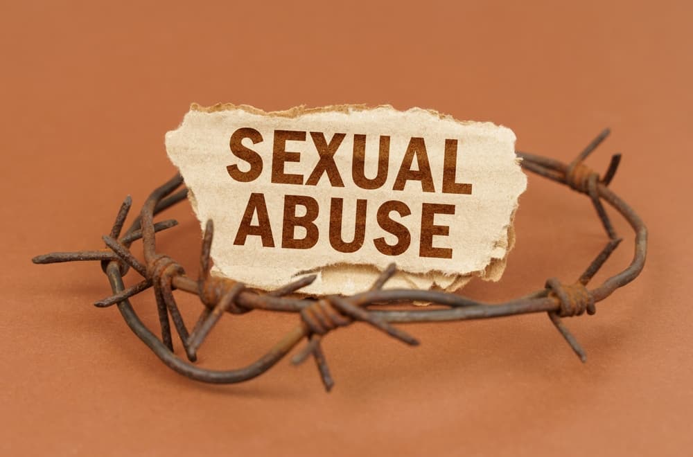 On a brown surface, barbed wire and a cardboard sign with the inscription - Sexual Abuse